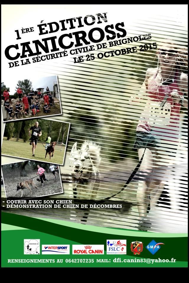 affiche brignoles 2015 affiche brignoles