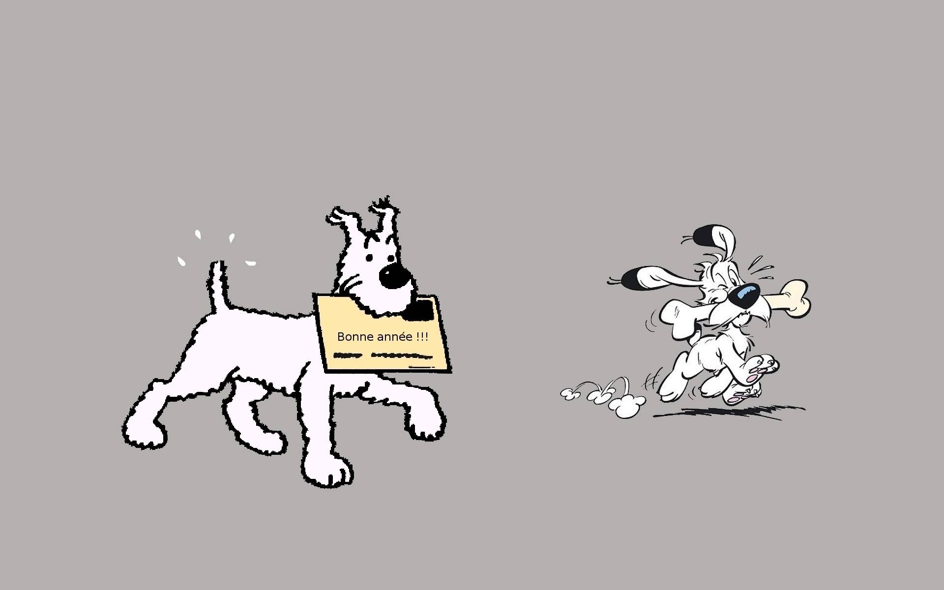 bonne année bonne année
